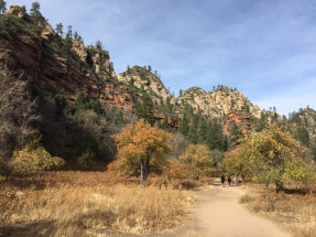 Beautiful fall colors on the West Fork Trail in Sedona, Arizona